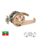 Sargent V33-10XU66-VSLL-US10